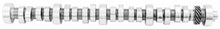 Load image into Gallery viewer, Ford Racing Small Block V-8 Hydraulic Roller Tappet Camshafts
