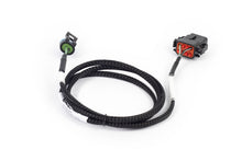 Load image into Gallery viewer, Haltech NEXUS Rebel LS T56 Transmission Harness (Plug-n-Play w/HT-186500)
