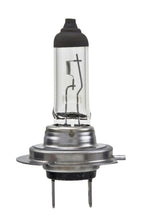 Load image into Gallery viewer, Hella Bulb H7 12V 55W PX26d T4.6 LONGLIFE
