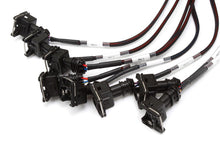 Load image into Gallery viewer, Haltech V8 Big/Small Block GM/Ford/Chrysler Elite 2000/2500 Terminated Harness w/EV1 Inj Connectors
