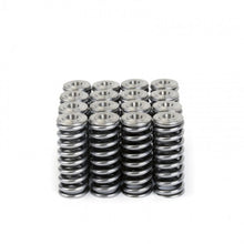 Load image into Gallery viewer, Skunk2 Alpha Series Honda/Acura D Series Valve Spring and Titanium Retainer Kit
