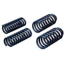 Load image into Gallery viewer, Hotchkis 05-07 Dodge Charger Sport Coil Springs
