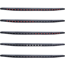 Load image into Gallery viewer, ANZO LED Tailgate Spoiler 2015-2016 Ford F-150 LED Tailgate Spoiler

