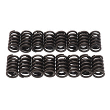 Load image into Gallery viewer, Edelbrock Valve Springs E-Street Heads Set of 16
