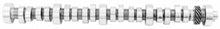 Load image into Gallery viewer, Ford Racing Small Block V-8 Hydraulic Roller Tappet Camshafts
