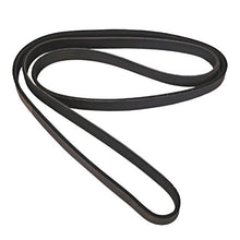 Load image into Gallery viewer, Omix Serpentine Belt 2.5L 87-90 Jeep Cherokee (XJ)
