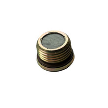 Load image into Gallery viewer, BD Diesel  Drain Plug for Deep Transmission Part 1061716
