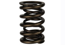 Load image into Gallery viewer, Ford Racing  Replacement Hydraulic Roller Valve Spring - Single (For M-6049-SCJA)
