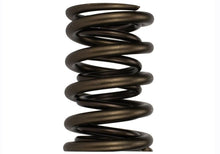 Load image into Gallery viewer, Ford Racing  Replacement Hydraulic Roller Valve Spring - Single (For M-6049-SCJA)
