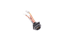 Load image into Gallery viewer, Radium Engineering Bulkead Harness Internal Triple Walbro F90000262 Pump
