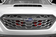 Load image into Gallery viewer, Perrin 2022 Subaru WRX Bracket for Hella Horns
