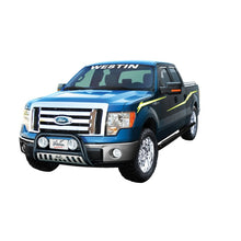 Load image into Gallery viewer, Westin 2004-2014 Ford F-150 (6.75 ft Bed)(Excl. Heritage Edition) Platinum Oval Bed Rails - SS
